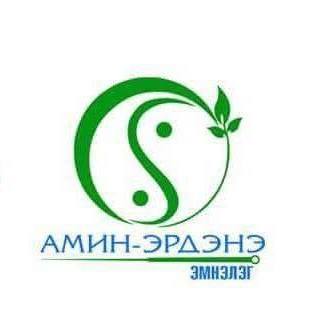 Амин Эрдэнэ эмнэлэг